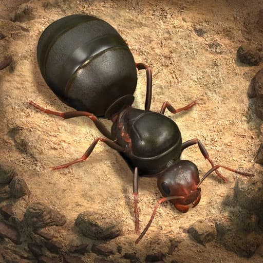 The Ants: Underground Kingdom — រូបភាព Top-Up