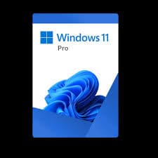 Microsoft Windows 11 Pro