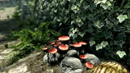 The Elder Scrolls V: Skyrim — image 5