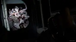 The Last of Us Part 2 — image 7