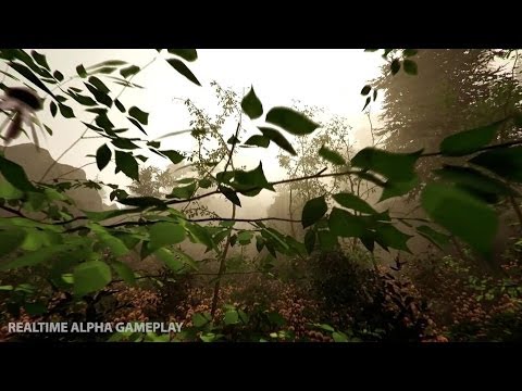 The Forest — វីដេអូ 1